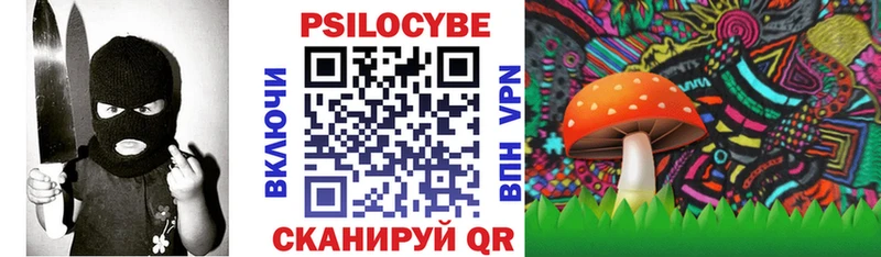 кракен онион  как найти закладки  Ессентукская  Псилоцибиновые грибы прущие грибы 